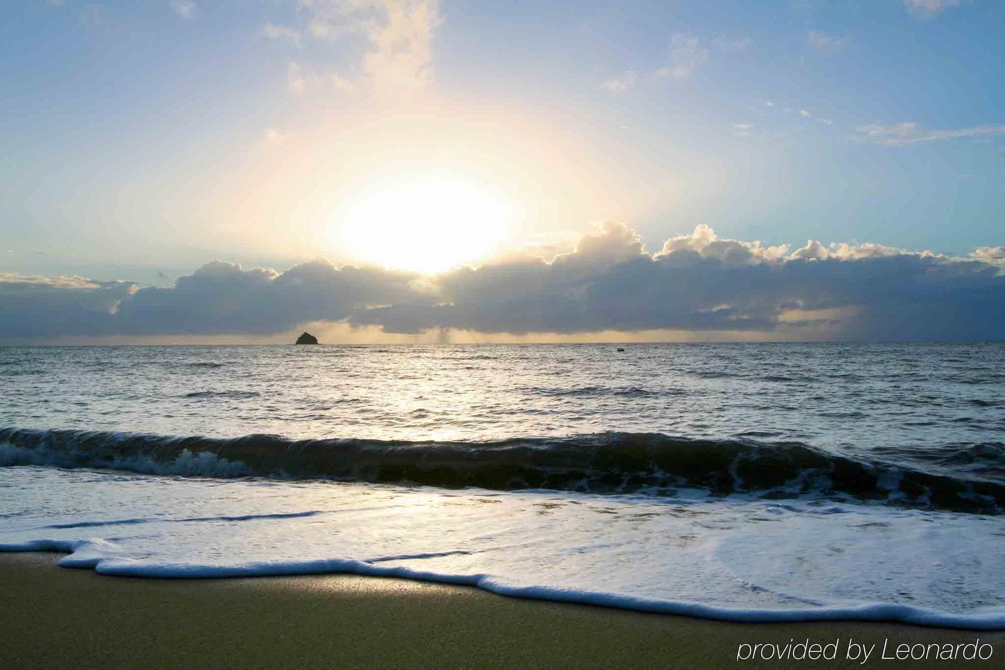 Pullman Palm Cove Sea Temple Resort & Spa Dış mekan fotoğraf